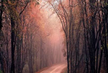 南北对决：上海对战山西，谁能笑到最后